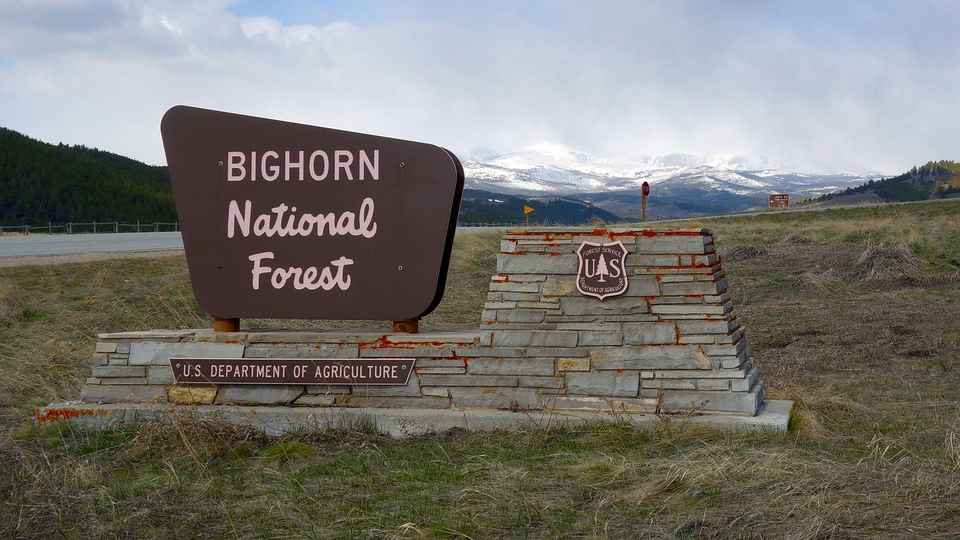 Bighorn National Forest 